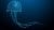 Jellyfish don't have brains...but that is about to change