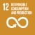 UN sustainable development goal – 12