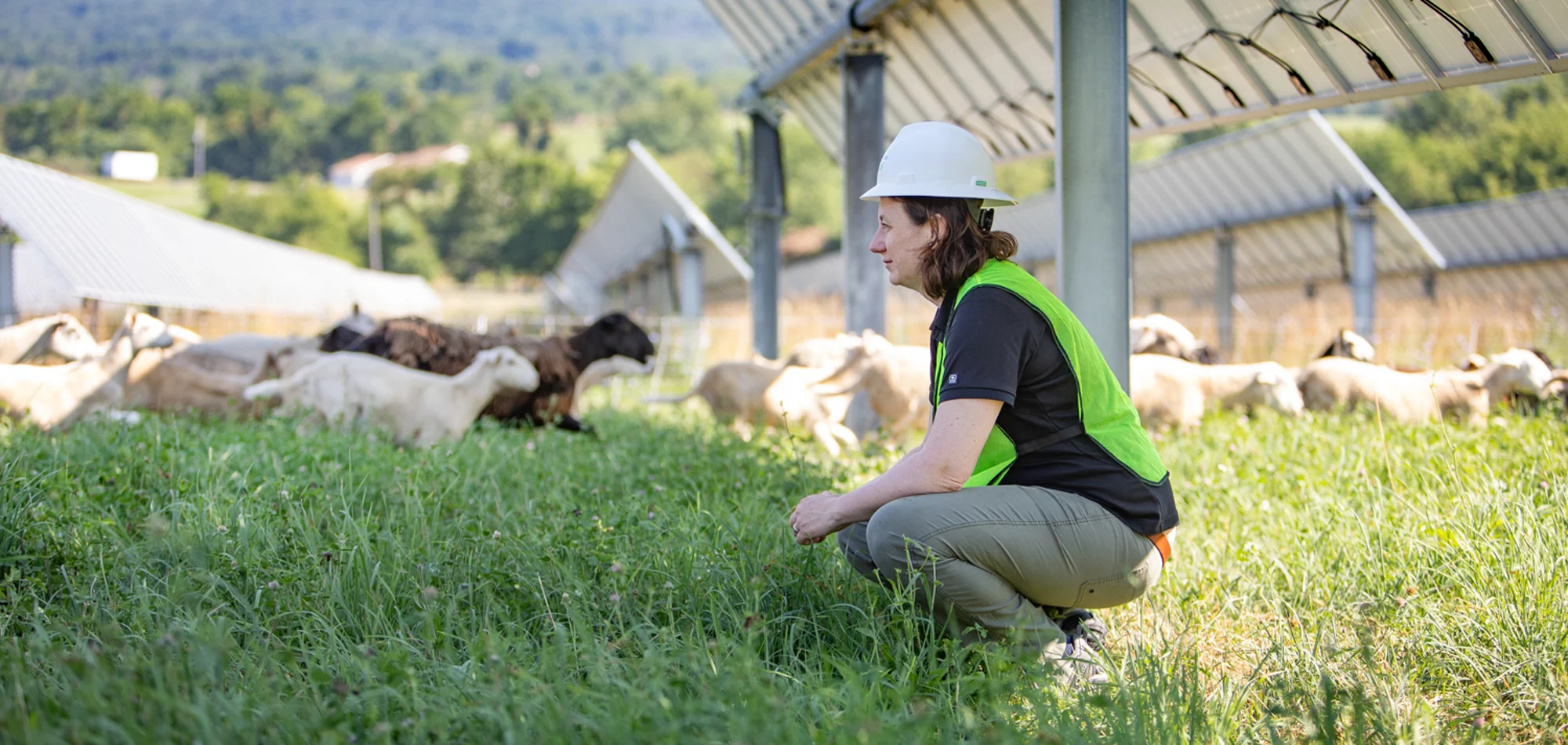 Lexie Hain, Lightsource bp director of agrivoltaics and land management, at the Nittany solar project in Pennsylvania, US