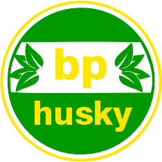 BP Logo